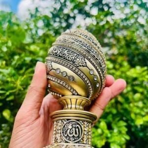 ৫০০ গ্রাম জার/পট  (৩০০ পিচ - এক প্যাকেট)
